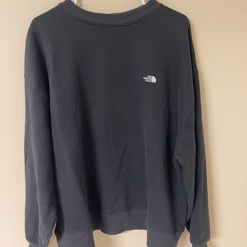 North Face Men’s Alpine Polartec® 100 Crew